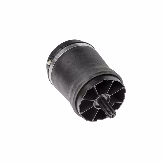 Chinese Manufacturer Supplier Auto Parts Air Suspension Car Shock Absorber for Land Rover Range Rover Rear Rkb 500 082